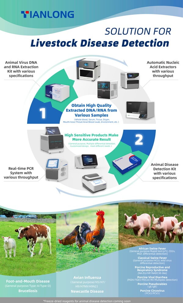 Image: TianLong livestock disease detection solution comprises a range of instruments that exhibit outstanding performance in pathogen nucleic acid detection.